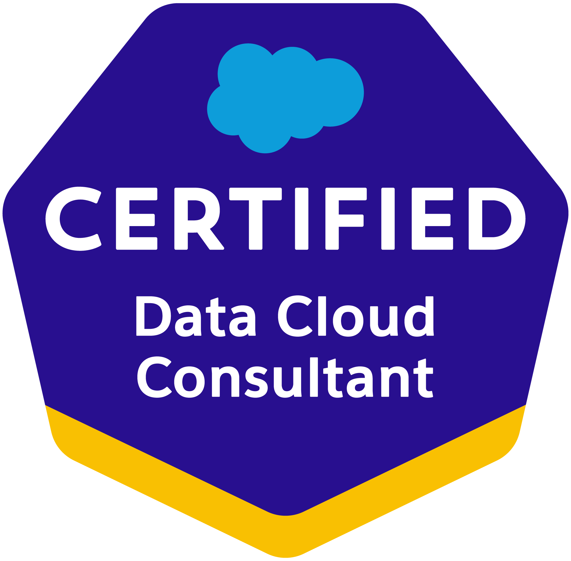Salesforce Certified Data Cloud Consultant